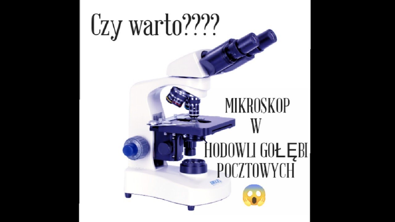 GOŁĘBIE POCZTOWE -MIKROSKOP W HODOWLI GOŁĘBI.