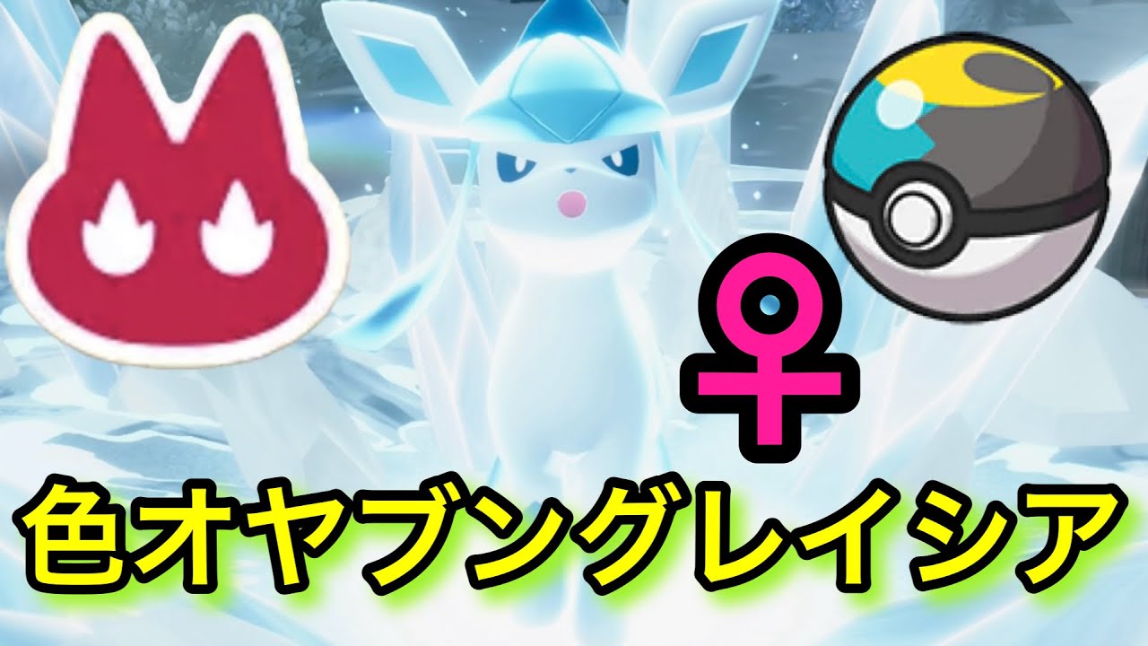 【完】色違いオヤブングレイシア♀厳選【ポケモンレジェンズZA】【M次元ラッシュ】