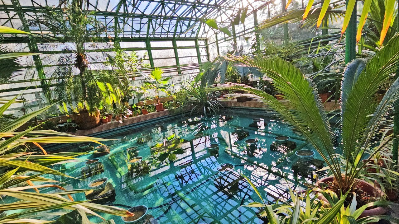 Sera exotică a Grădinii Botanice din București