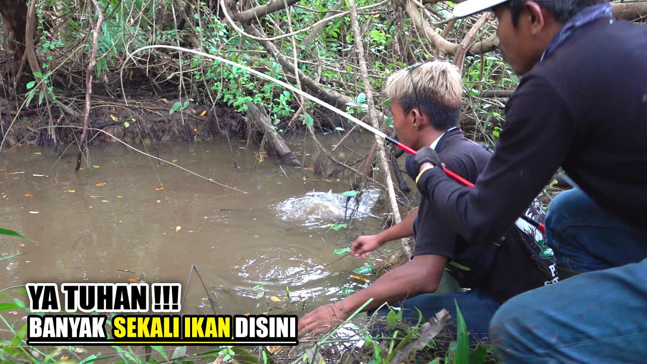 Spot gila!!! Berkali2 jantungan saat umpan mancingku turun #SG-253