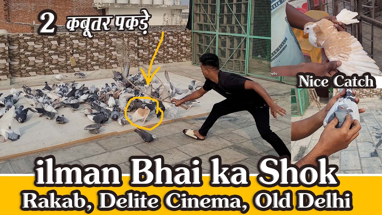 2 Kabutar Pakday, Ilman Bhai Ka Shok, Rakab, Delite Cinema, Old Delhi