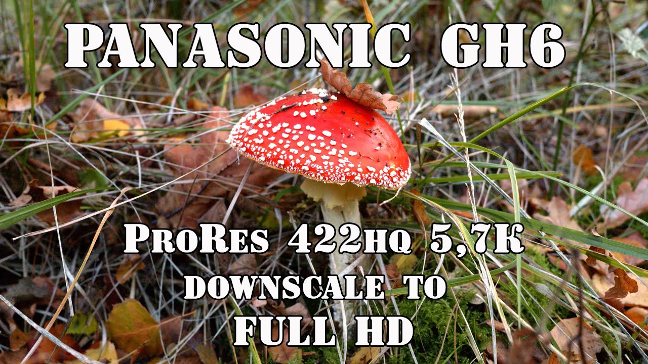 PANASONIC GH6 ProRes 422hq 5,7K 25 fps downscale to FULL HD