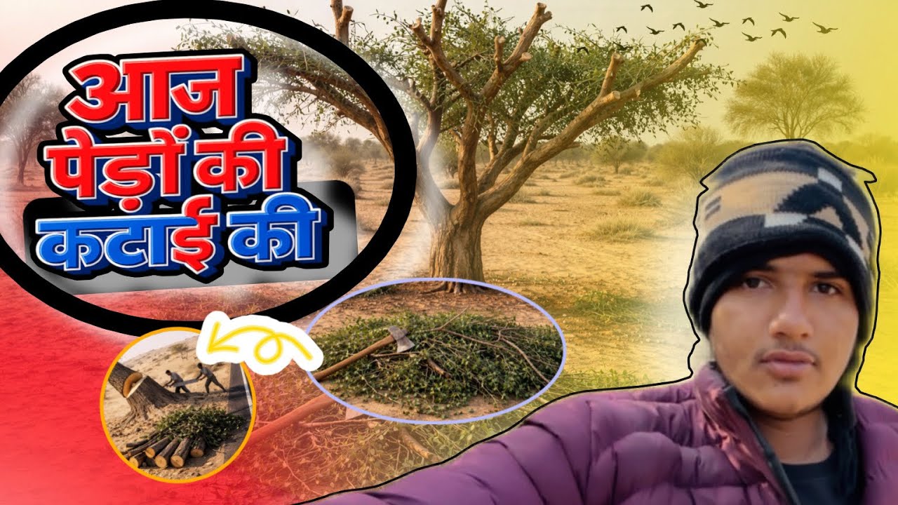 पेड़ो को छांगा 🤯 और भाई को स्कूल छोड़ने गया 😍 || agriculture vlogs 😍