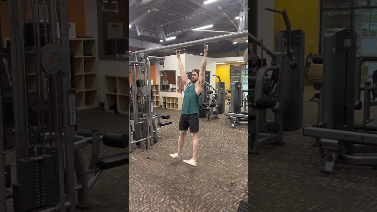 Better Than Chiropractic Adjustment!! Pullups Eccentric Isometrics with my brother Joshua Seedman