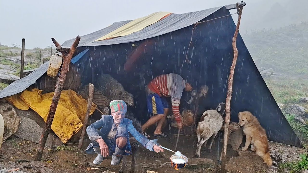 Best Life in A Himalayan Shepherd’s During The Rainy Day | Most Relaxing | Village Documentary Video