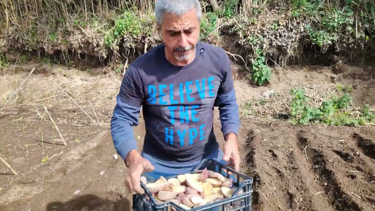 Drive To Ginetes,Preparing The Garden To Plant Potatoes & Onions. #açores #simpleislandliving #land