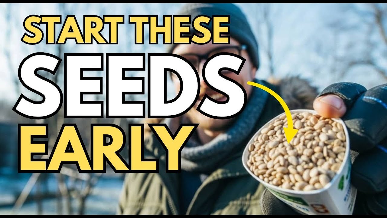 6 Super Early Vegetables to Start in January
