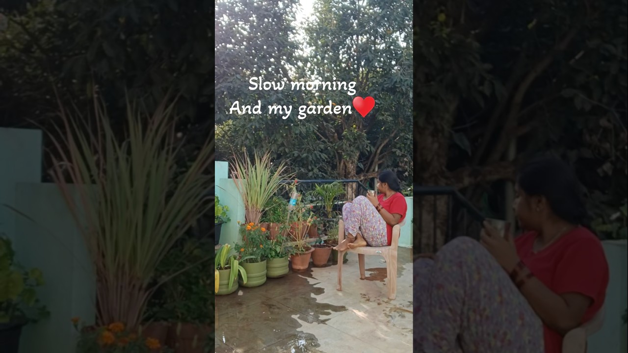 Slow morning n my garden