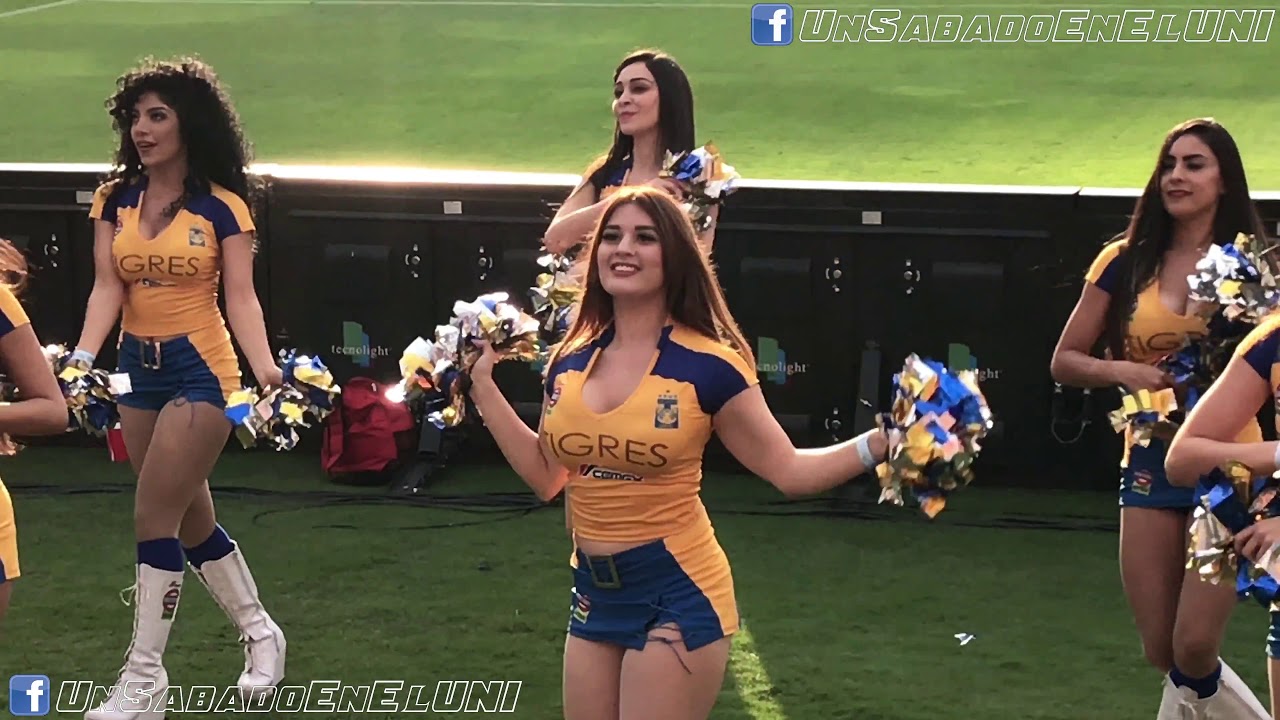 Equipo de animación Tigres - 2017/06/12