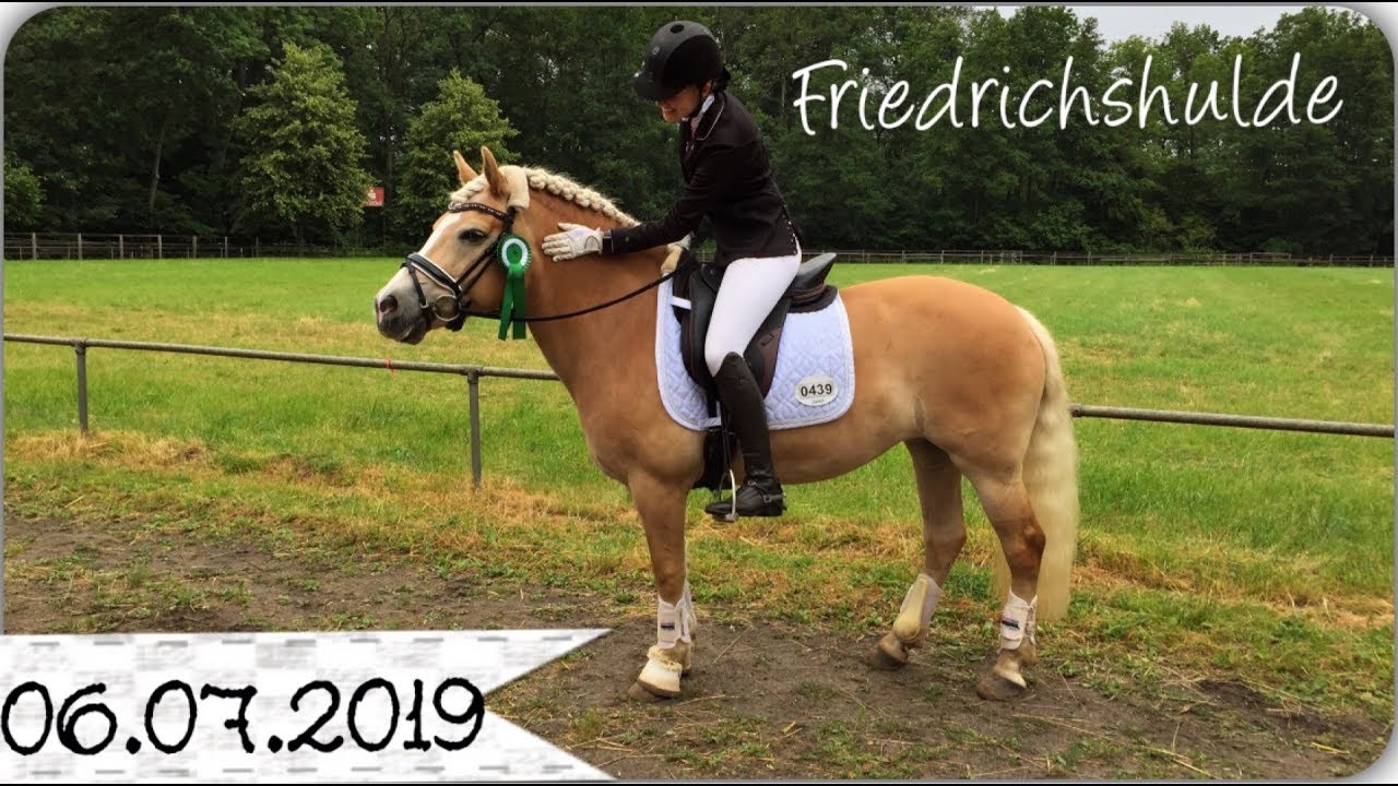 [06.07.2019] Dressurreiterprüfung Kl. A mit Haflinger Grace