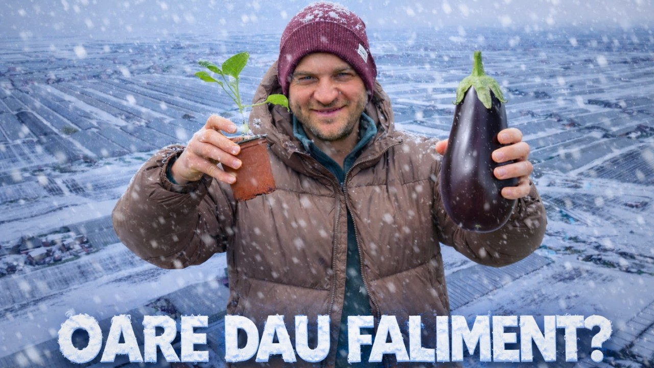 Pe ce am dat 15.000 € și cum arată vânăta ALTOITĂ?