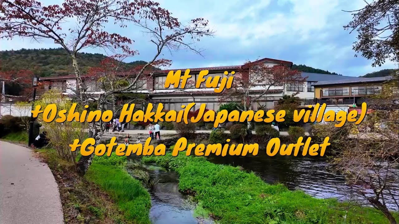 Mt Fuji Day Tour - Lake Kawaguchi, Oishi Park, Oshino Hakkai and Gotemba Outlet