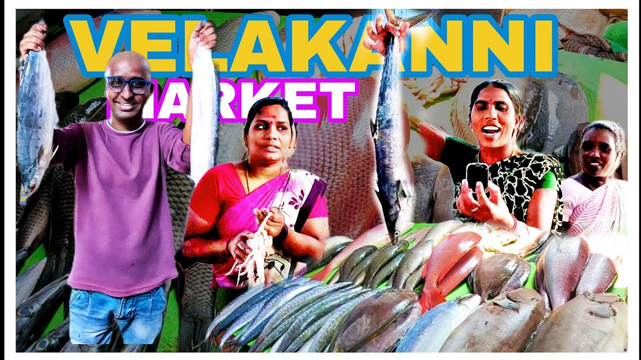 Velankanni Fish Market 😳😯
