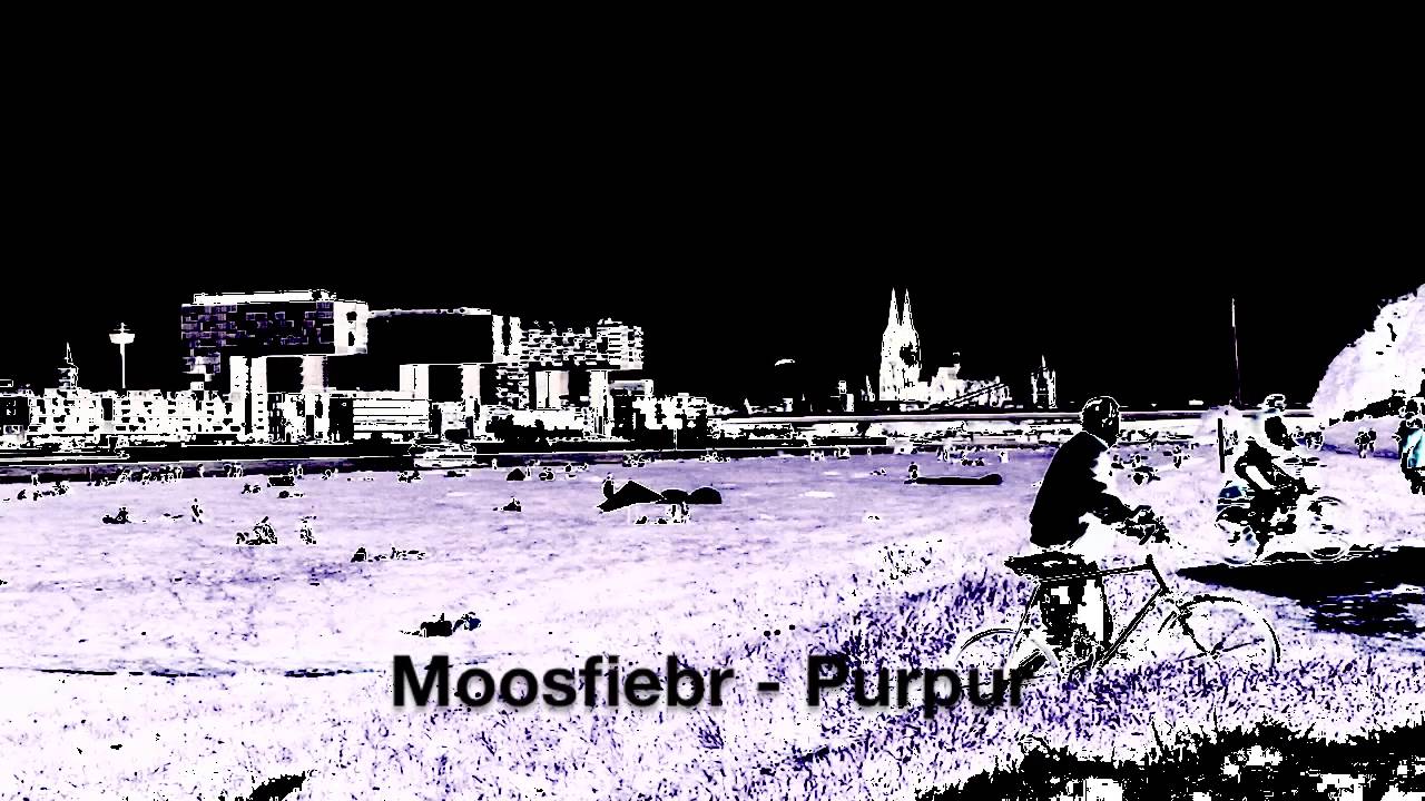 Moosfiebr - Purpur (MBF LTD 12068)