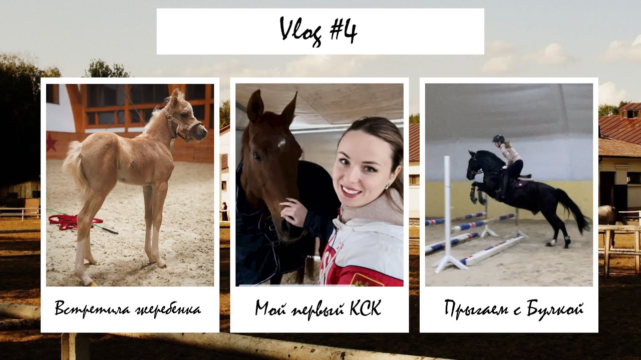 Vlog #4 | Мой первый КСК | Встретила жеребенка | Прыгаем с Булкой