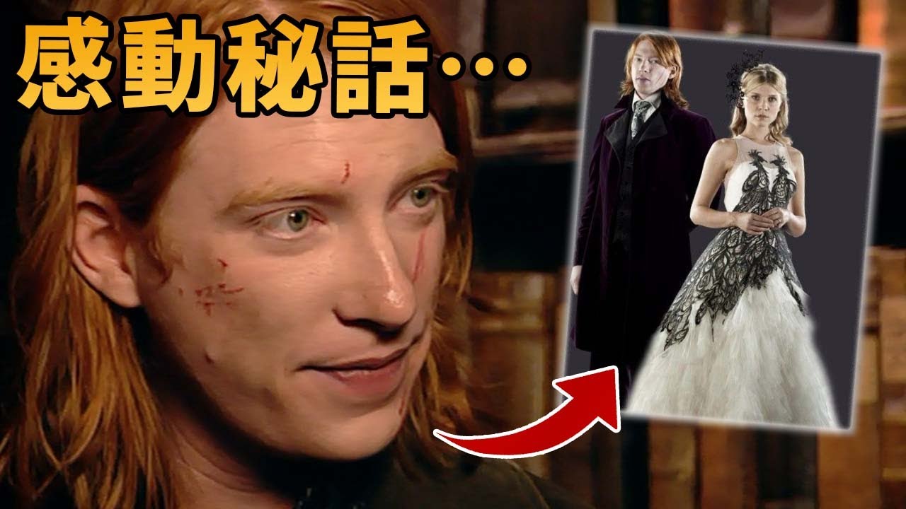 【ビル・ウィーズリーの生涯】フラーとの馴れ初め＆その後の人生【ハリーポッター】