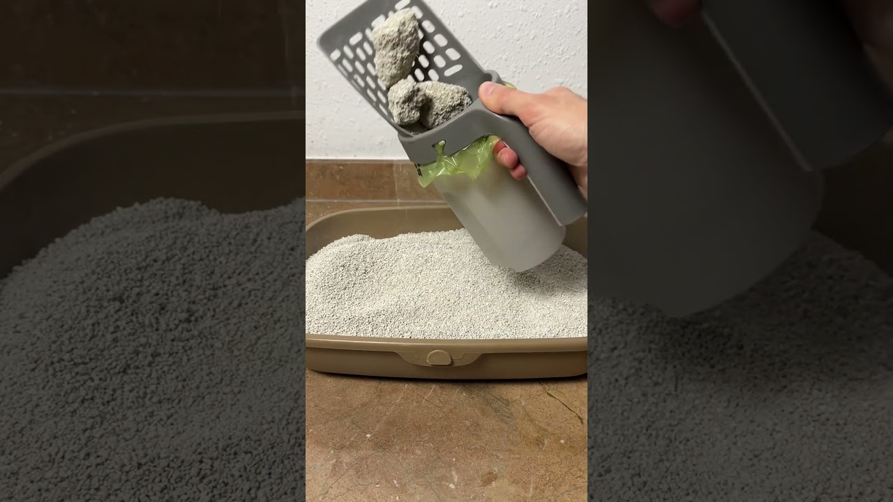 Este recogedor para gatos no decepciona 😻
