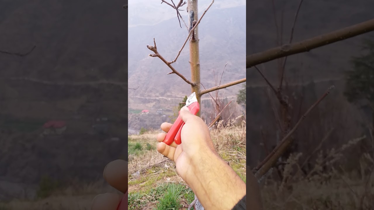 single  stump system......on sidling...plz read  out in discription