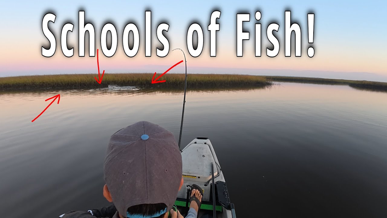 Multiple fish Back 2 Back! Awesome day in the creeks of Jacksonville, Fl from the kayak!