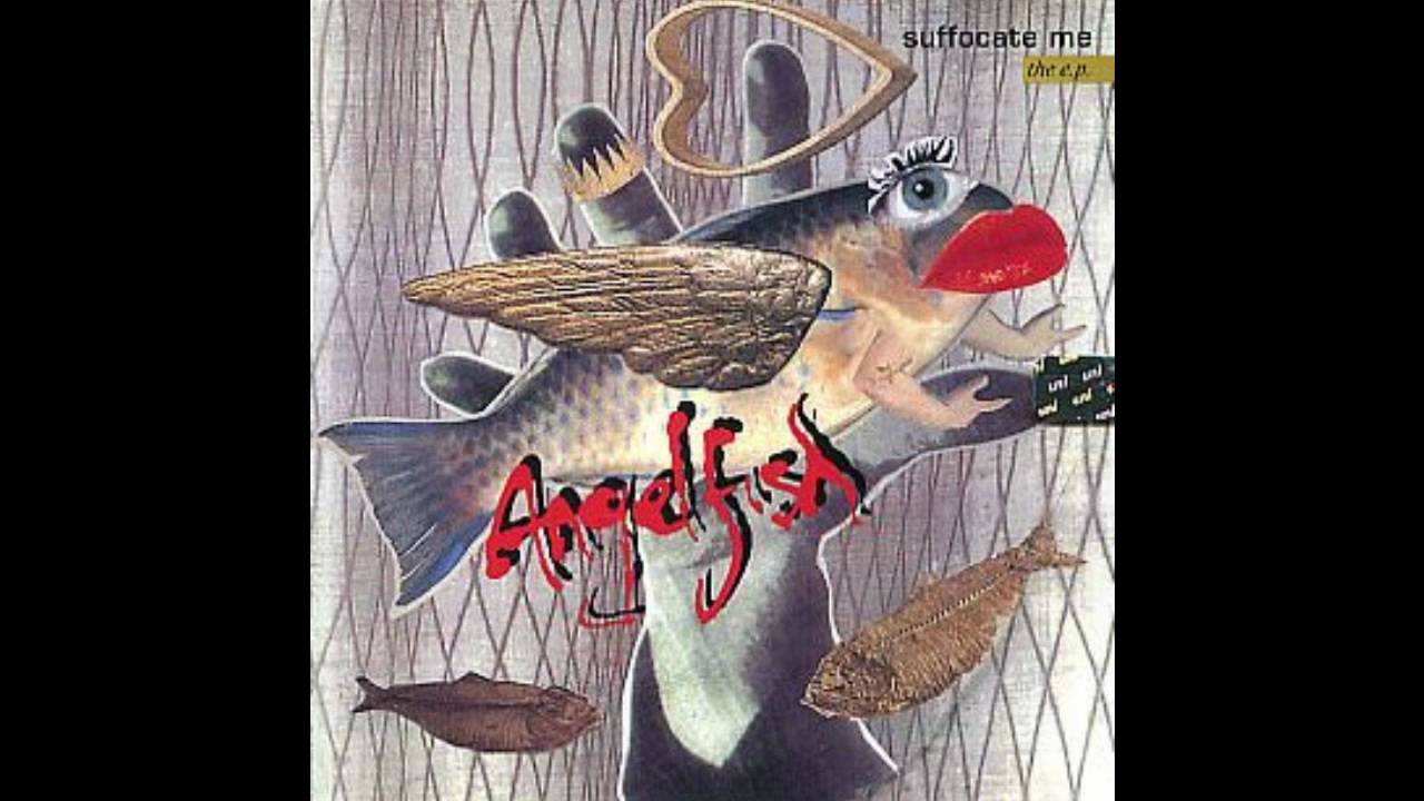 Angelfish - Kimberly