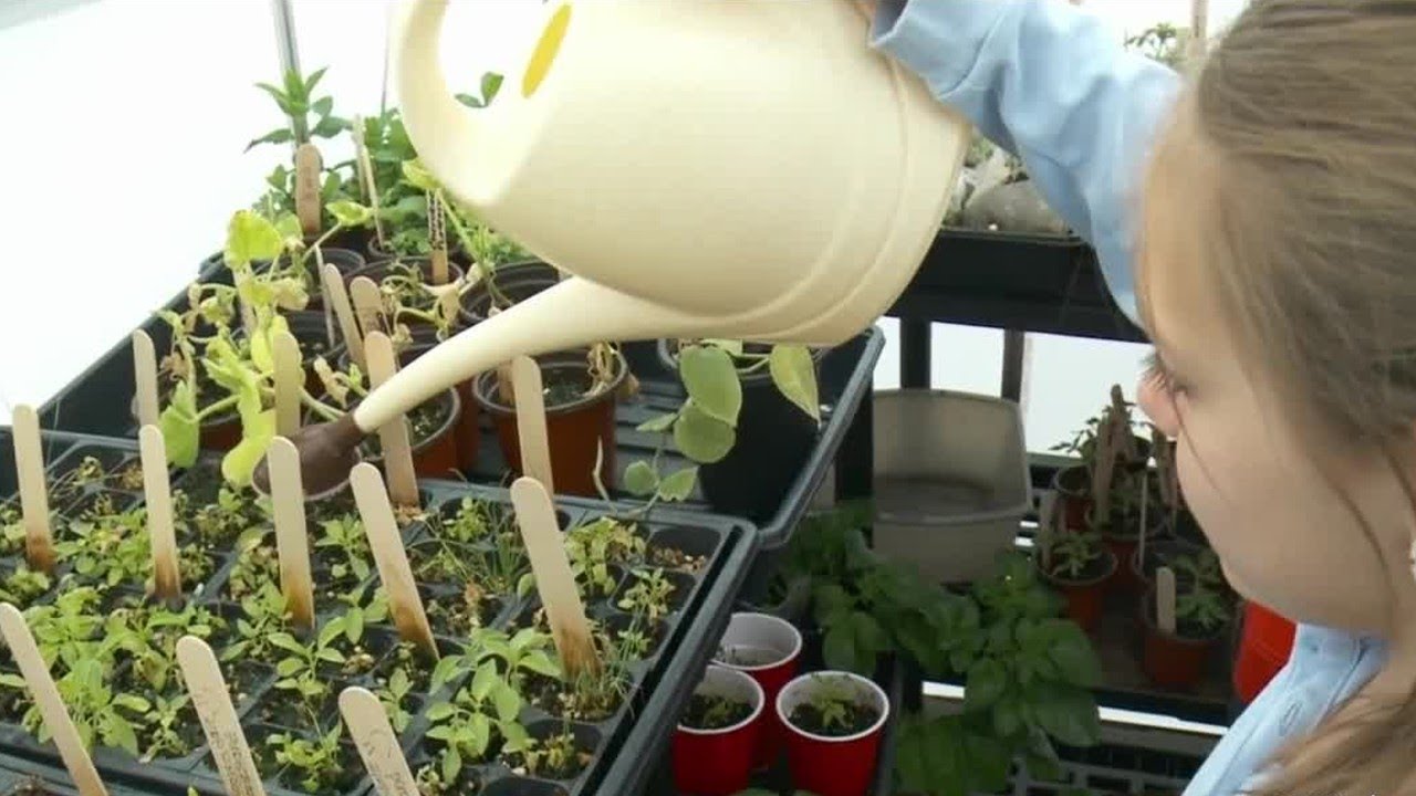 South Jordan science teacher earns praise for greenhouse learning