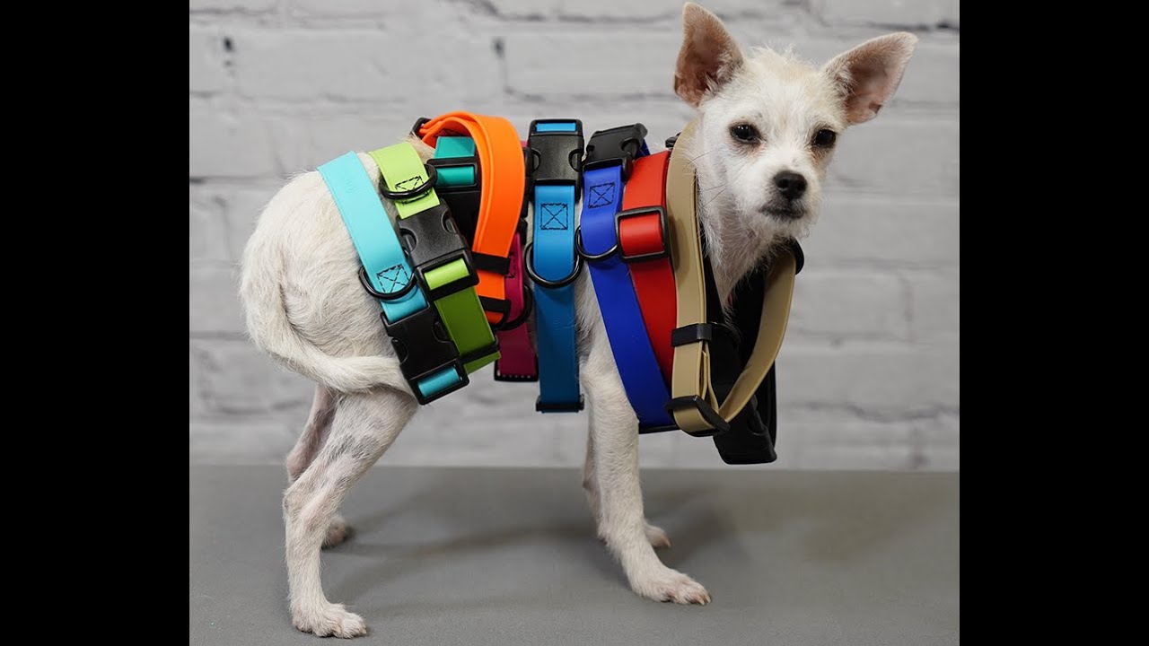 Dogline Biothane Quick Release Waterproof Dog Collar