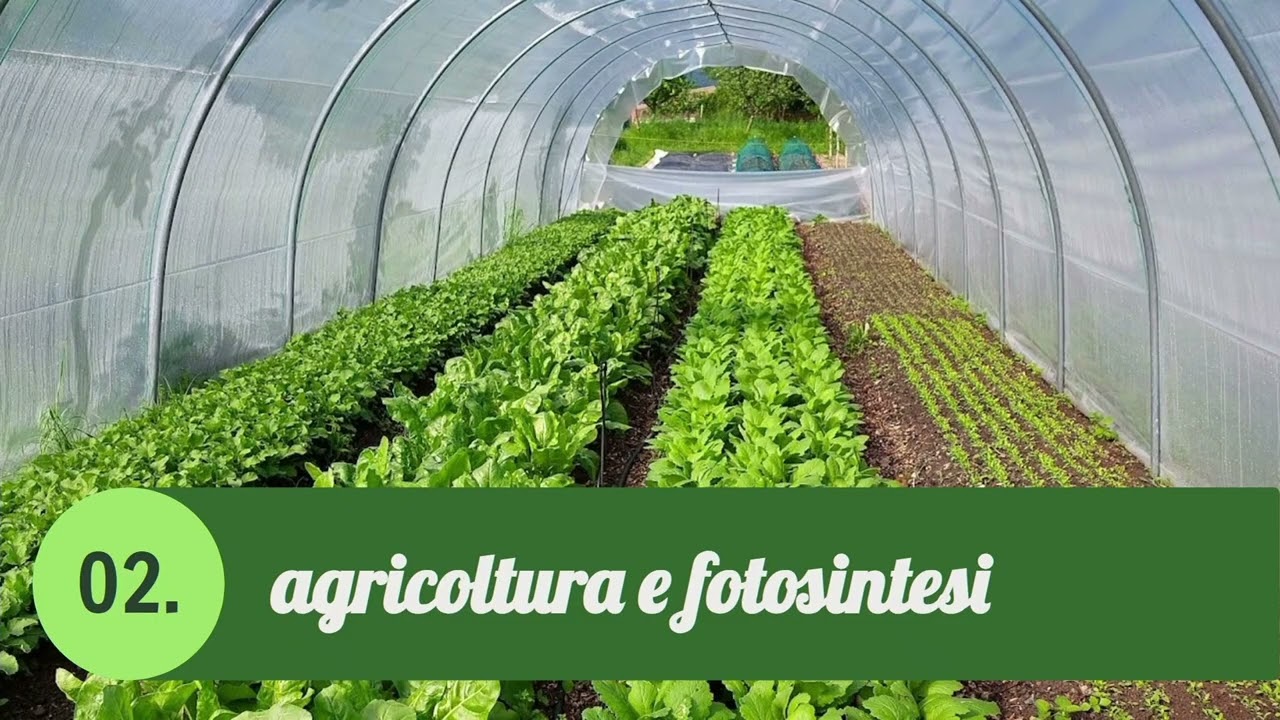 Seminario Agroecologia Applicata 18/12/2024