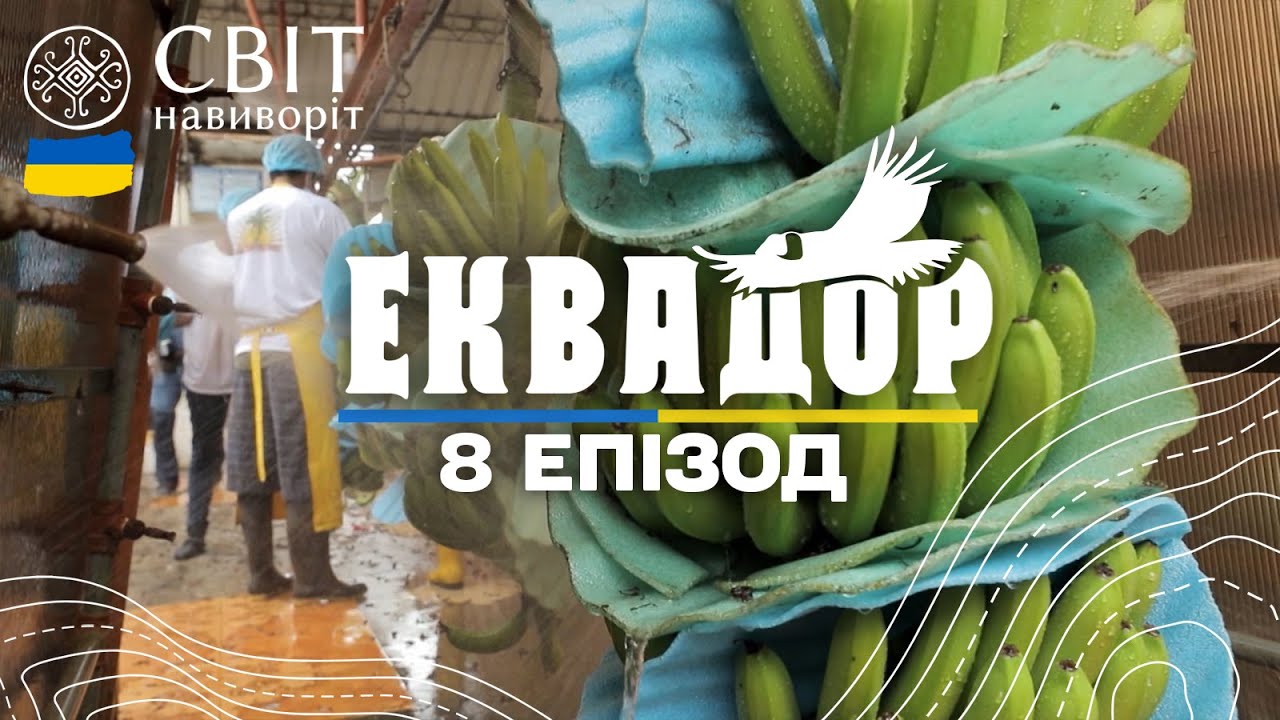 Як банани з Еквадору вирощують та готують до експорту в Україну. Світ навиворіт. 8 випуск