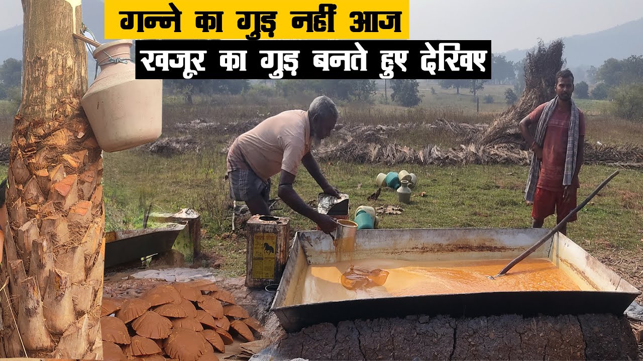 गन्ने का गुड़ नहीं आज खजूर का गुड़ बनते हुए देखिए, स्वाद चखेंगे तो कहेंगे वाह ! How to Make Khajur Gur