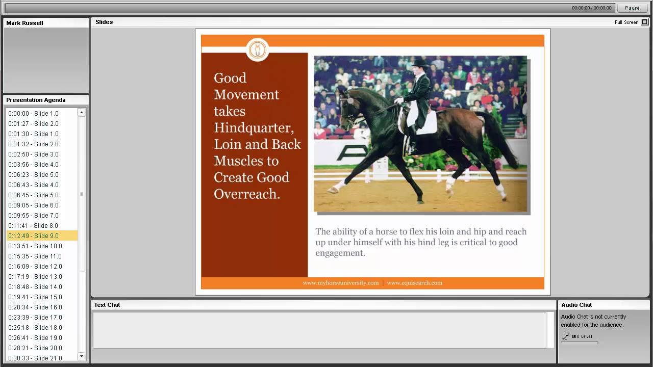 Your Next Competition Horse