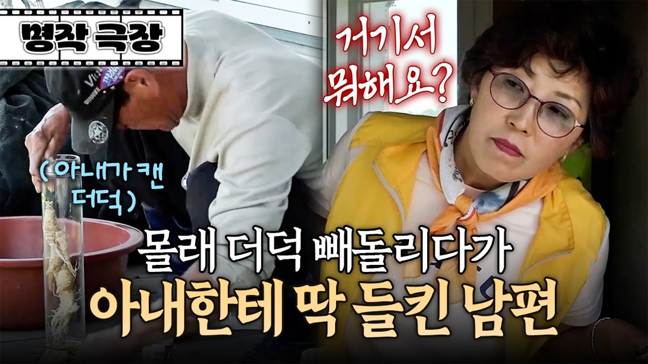 아내가 캔 대왕 더덕 몰래 숨겨서 담금주 만들다가 들킨 남편?! | 사노라면 명작극장 278-1