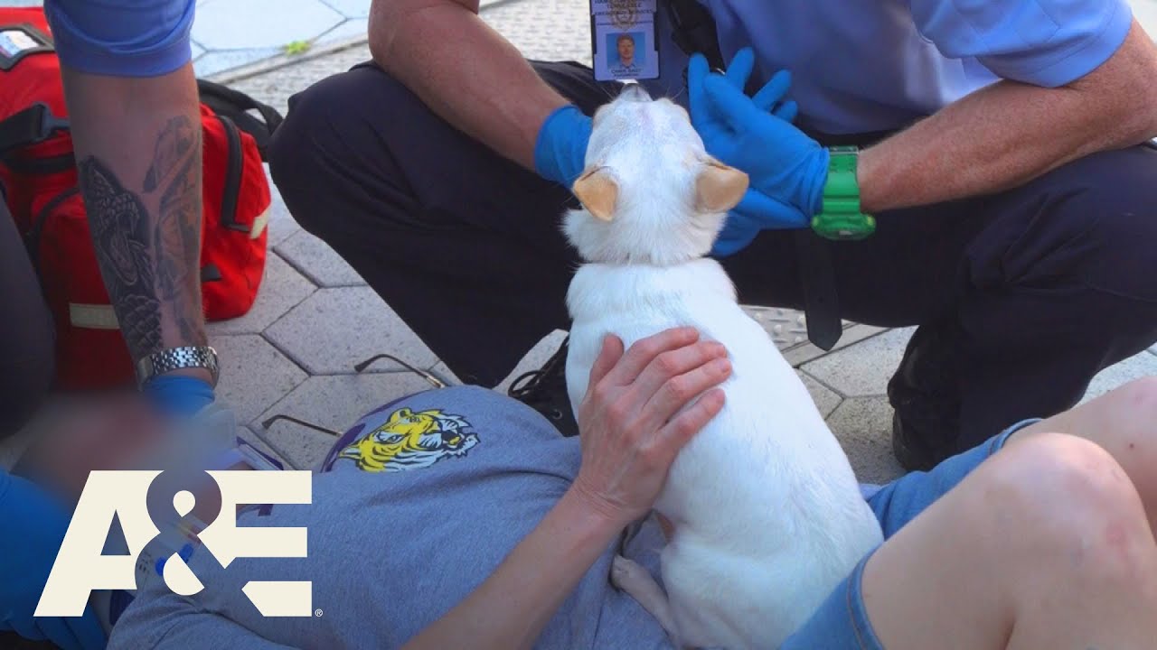 Live Rescue: Day Drinking Buddy (Season 2) | A&E