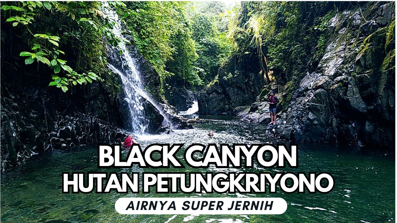 BLACK CANYON di Tengah Hutan Petungkriyono, Surganya Ciblon