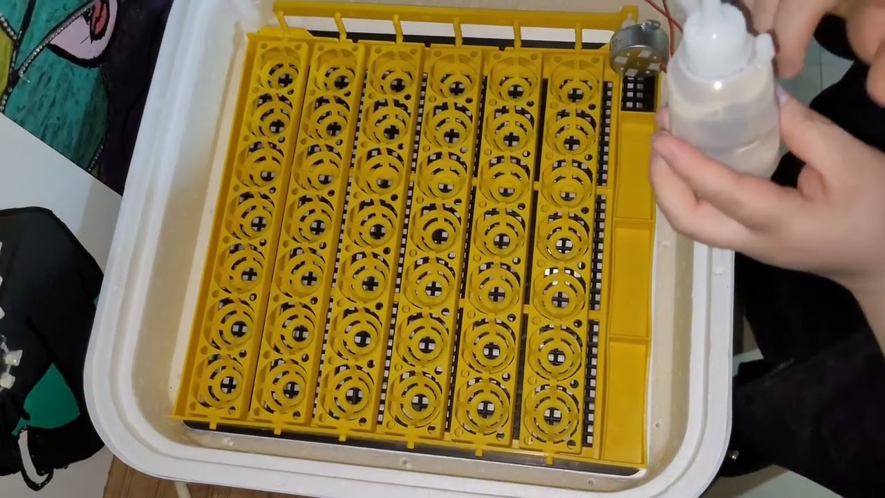 AYYILDIZ AY42-C KULUÇKA MAKİNESİ TANITIMI