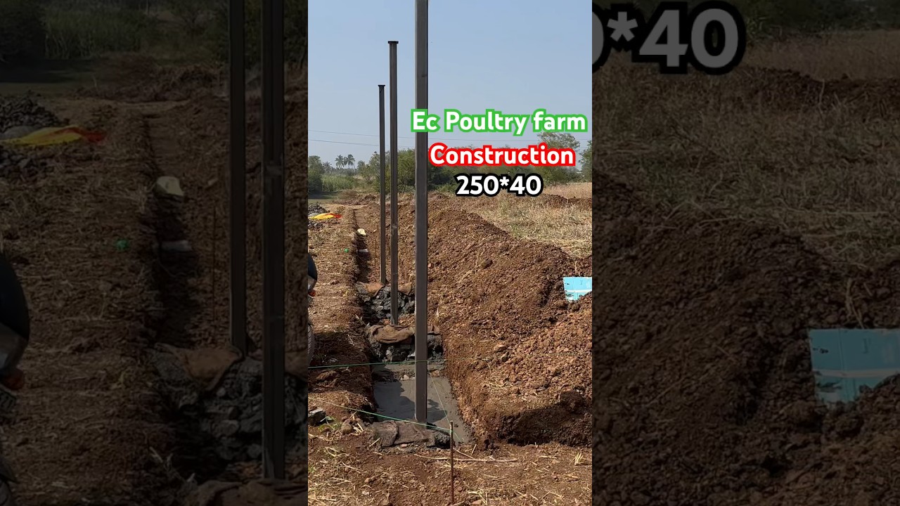 Ec Poultry Farm Construction#Construction#