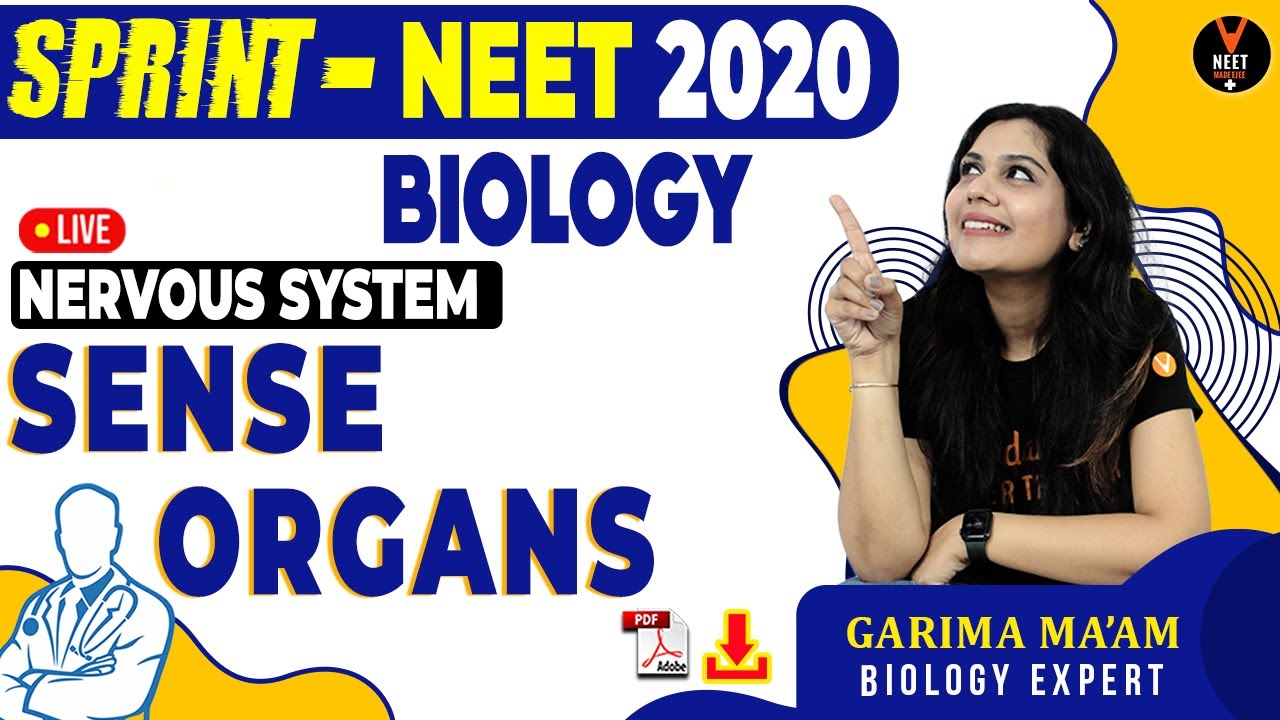 Nervous System | Sense Organ | NEET Biology MCQs Series | NEET 2020 Preparation Tips | Garima Ma'am