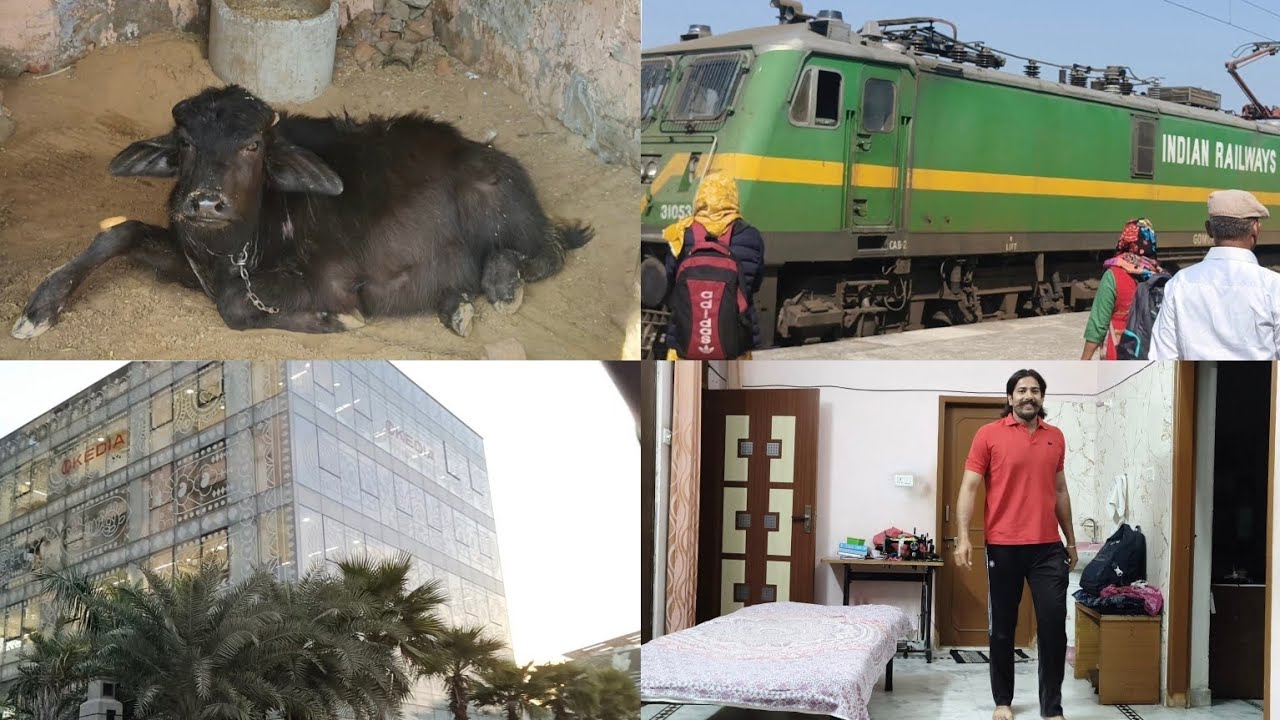 VloG_11 : Jaipur Trip ✨