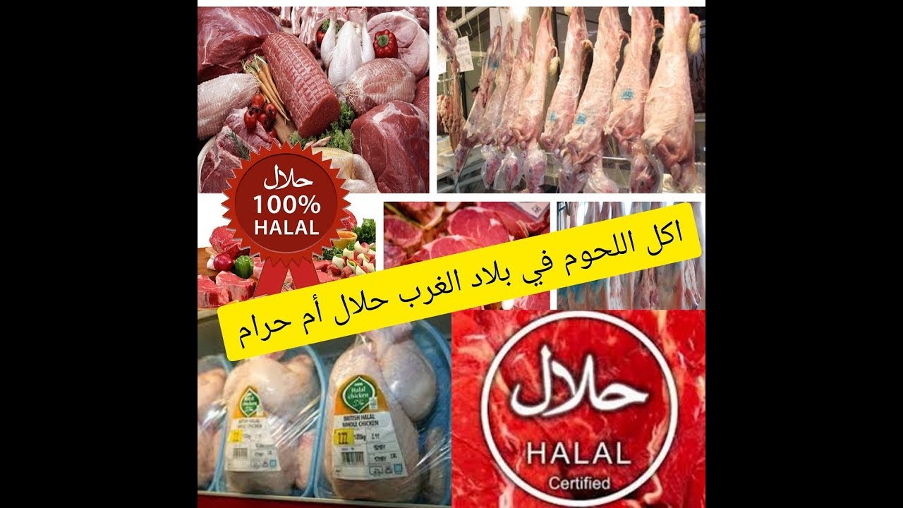 هل صحيح يباع في ايطاليا 🍗🍖اللحم الحلال أم مجرد كذبة ....كله حرام ..... #اللحم الحلال في اروبا