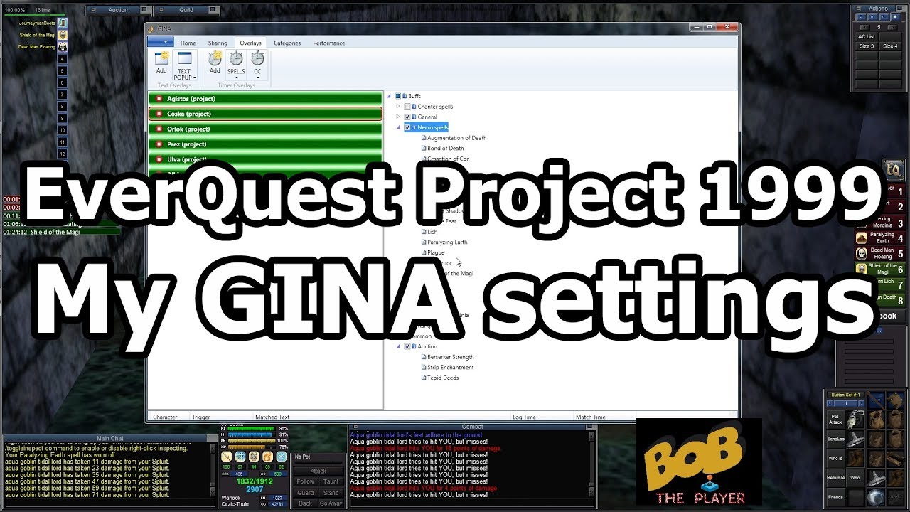 EverQuest Project 1999 #12 - My GINA settings