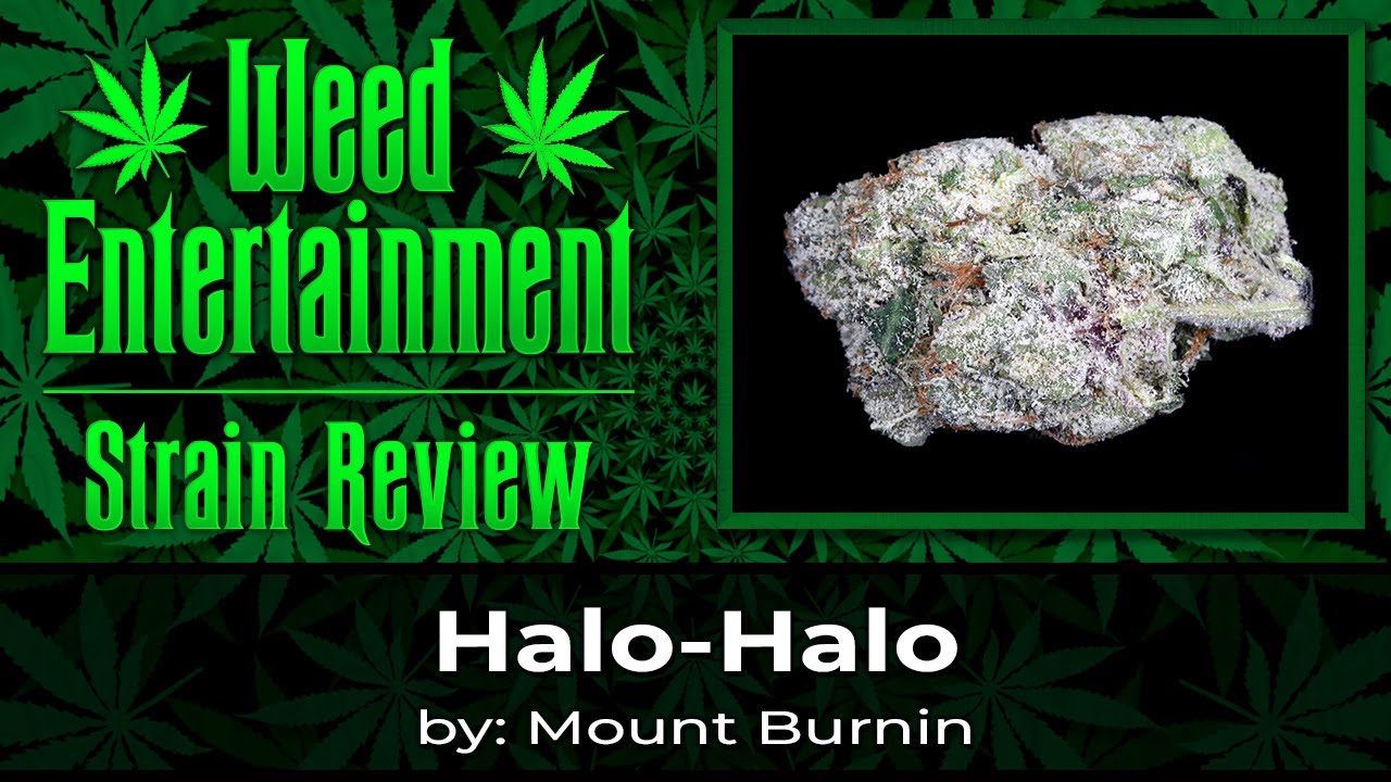 Halo-Halo - by Mount Burnin - Strain Review - January 2023