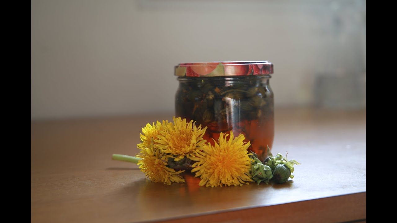 Cueillette au jardin - Recette de la cramaillotte et câpres de boutons de pissenlit