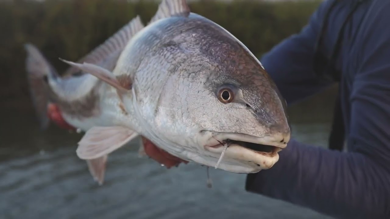 Smaller Baits Mean More Bites