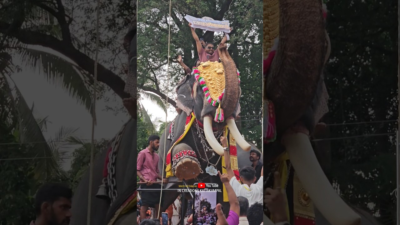 Kallumpuram Palli Perunnal  #kerala #aanakotta #aanapremikal #aanakeralam #aanapremi #elephant
