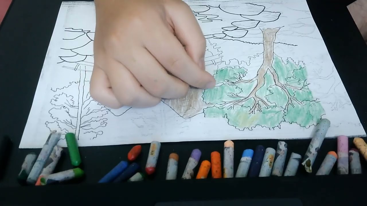 Instructions for coloring a beautiful forest. Day y Noche   Cumbia Deli