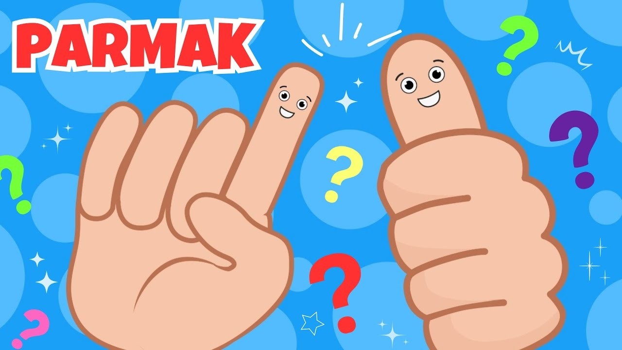 Parmaklarımızla Sayıyoruz! ✋ Eğlenceli Sayılar Şarkısı | Masal Okulum