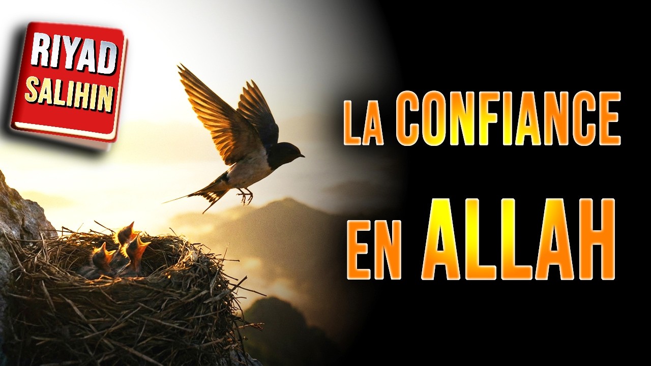 Place ta confiance en Allah&hellip; comme l&rsquo;oiseau