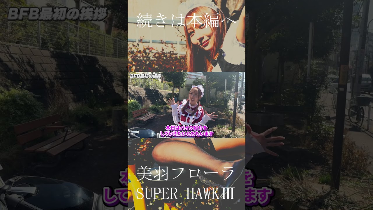SuperHawkⅢの紹介Vol1 