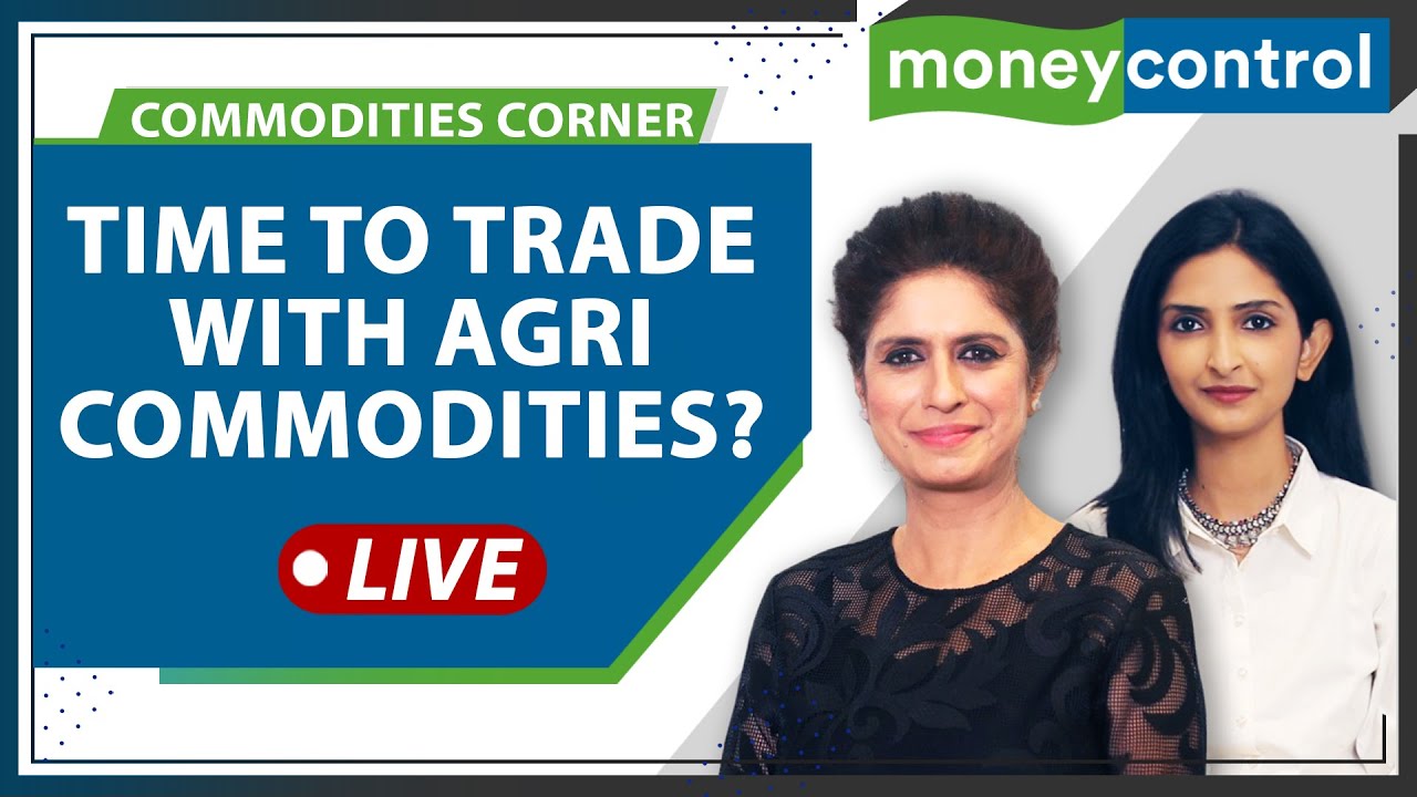 Right Time To Buy Agri Commodities Sugar, Cocoa Ahead Of Christmas? | Festive Season Trades