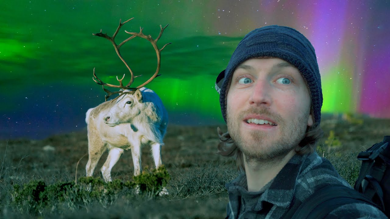 Meeting Santa's Reindeer (kinda)