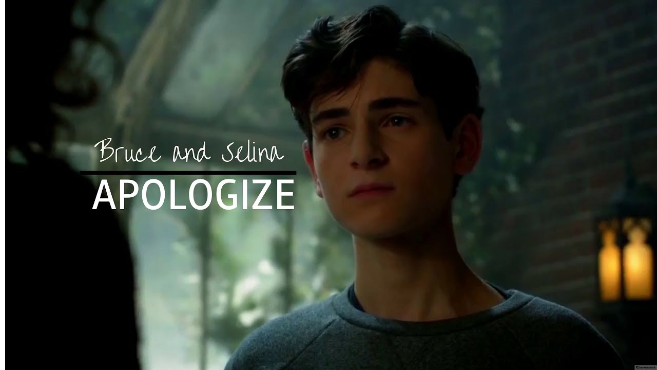 Bruce & Selina | Apologize